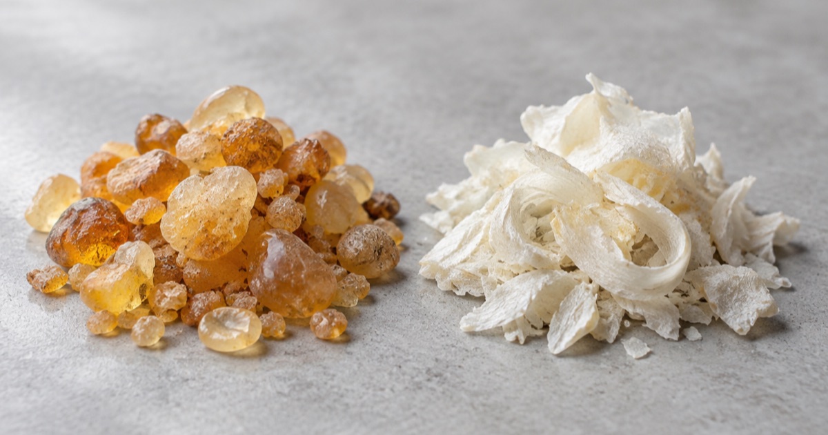 Amber gum arabic nodules beside pale gum tragacanth ribbons on a grey surface